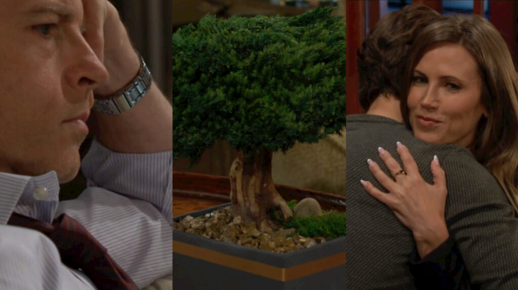 Tucker, the bonsai, and Daniel and Heather hugging.