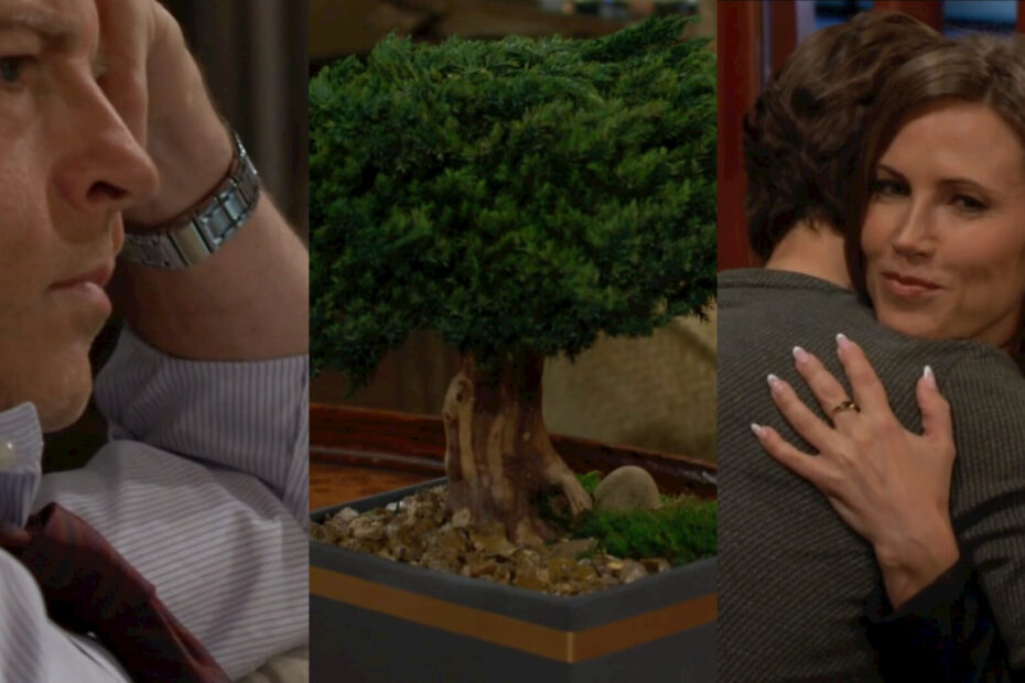 Tucker, the bonsai, and Daniel and Heather hugging.
